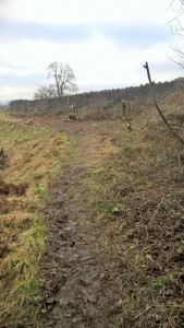 Some of the work that has been done by members and committee making the top bank more fishable