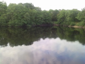 Nant Moel, top bay