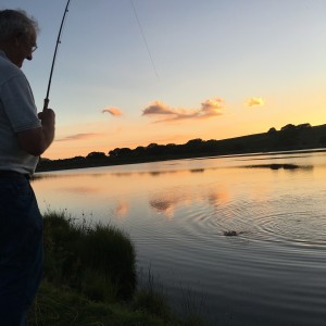 Another member into a fish. Yellow owl dry fly July 2016