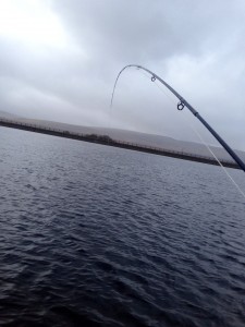 Opening day fish