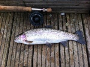 Another nice rainbow