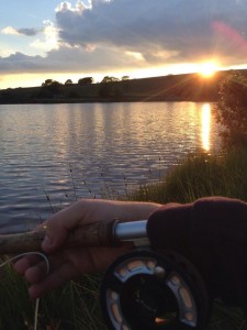 Excellent dry, buzzer and nymph fishing to be had at nant moel