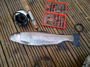 This fish caught by M Ebbatson on a dry fly, 23/4/16